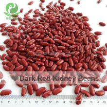 New Crop Red Kidney Beans Dry Red Kidney Bean